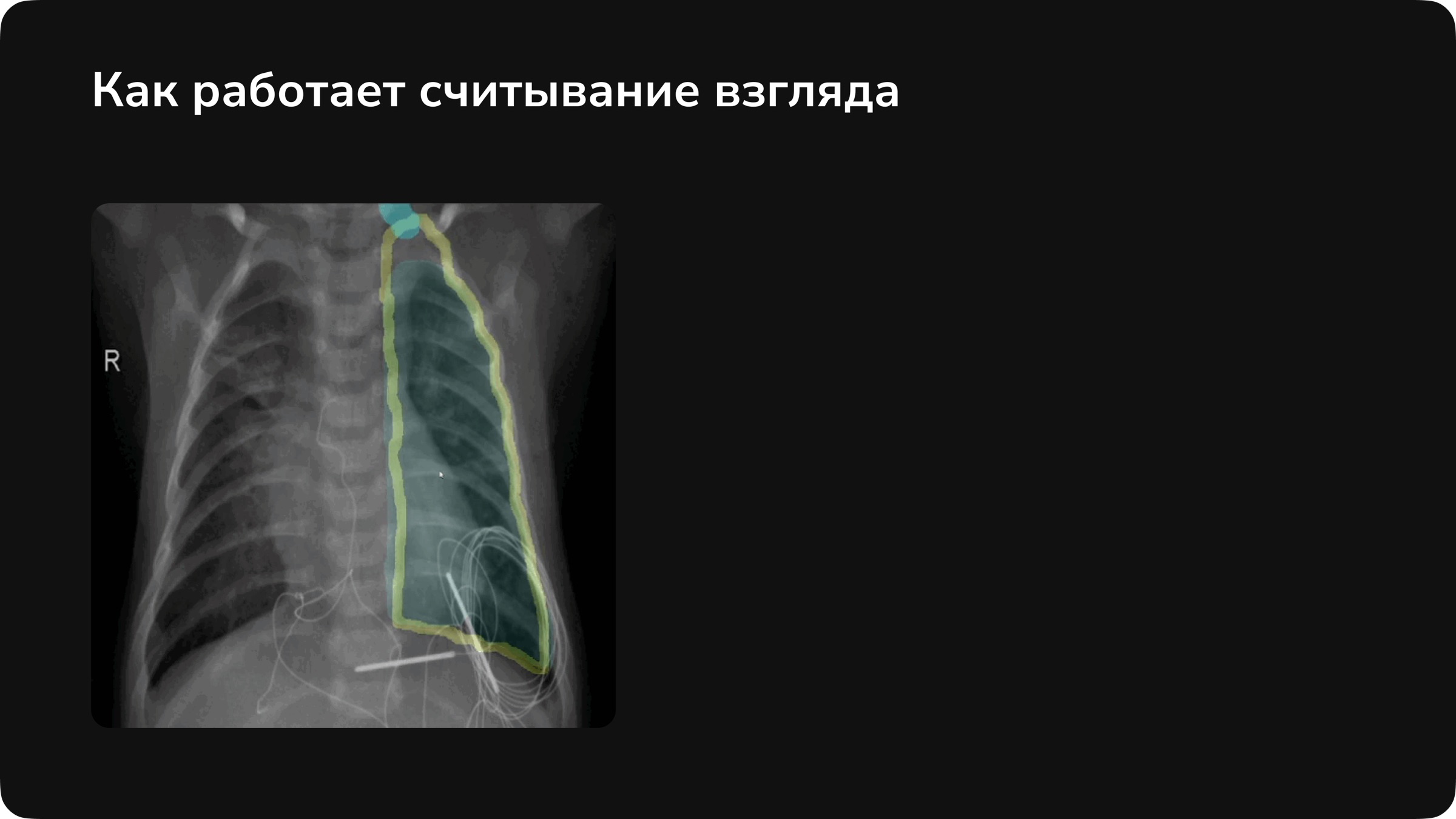 Как работает считывание взгляда: выделенный взглядом регион и референсная маска